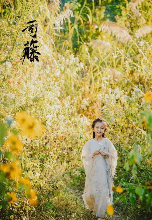 司藤- 堆糖,美图壁纸兴趣社区