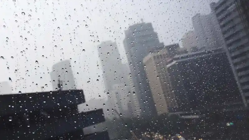 城市里的雨