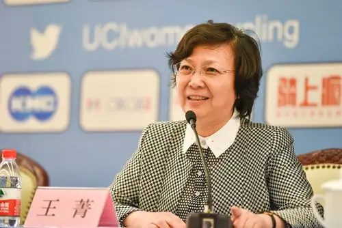 正文 崇明区副区长王菁介绍了崇明世界级生态岛建设,体育产业发展情况