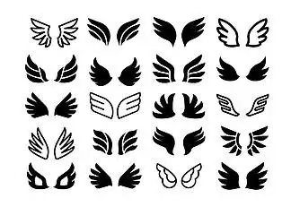 简单的天使或鸟类黑色剪影和线条符号,鹰鹰和凤凰羽毛翅膀设置.