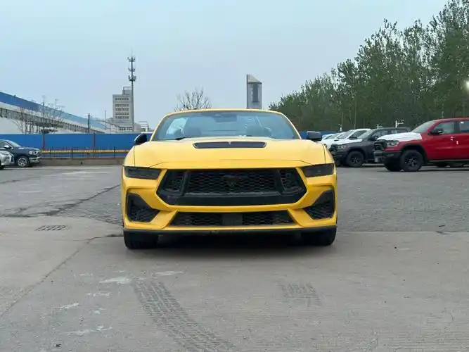 0野马v8现车到港_奔腾小马社区_易车社区