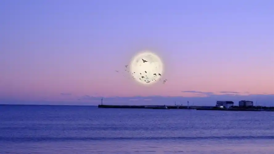 最美竖屏风景图片海边晚霞