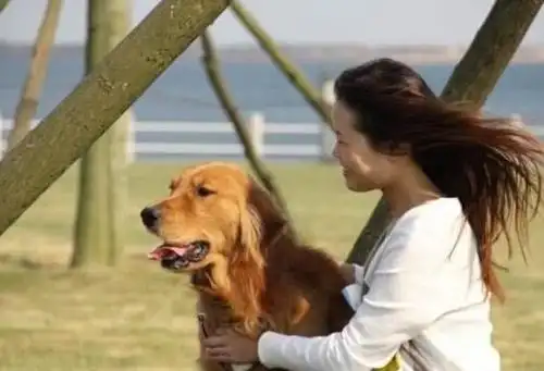 为什么单身女孩更喜欢养公狗而不是母狗?原因有两点