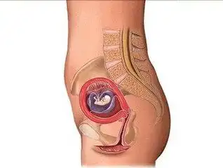 愉快!四个月胎儿图"如何寻找"-第1张图片-克斯博客