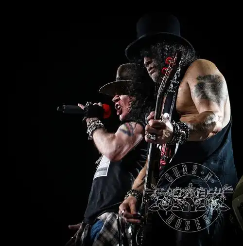 枪炮与玫瑰乐队