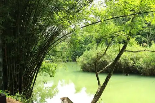 第一次走进了贵州的青山绿水!掠影一