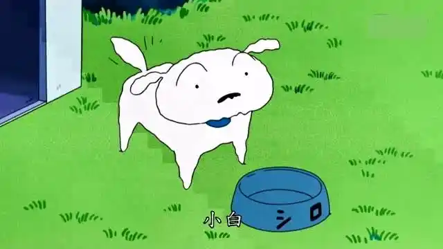 蜡笔小新:小白的肚子饿了,小新的工作就是喂小白?