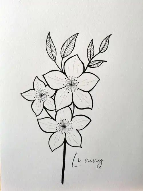 画画  #画个简笔画  #针管笔手绘  #手绘  #花卉  #简笔画教程  技