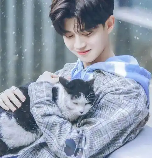 任嘉伦《嗨放派》演霸总,有谁注意他最后改台词,太尊重女性了!_公主