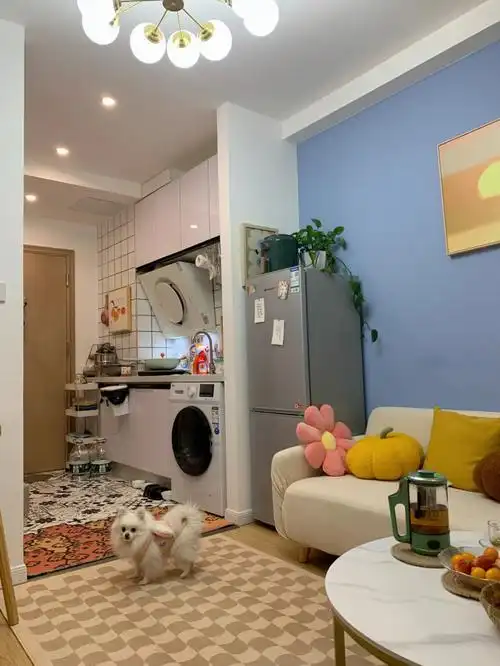 套内24平一室一厅小户型这样装越住越大