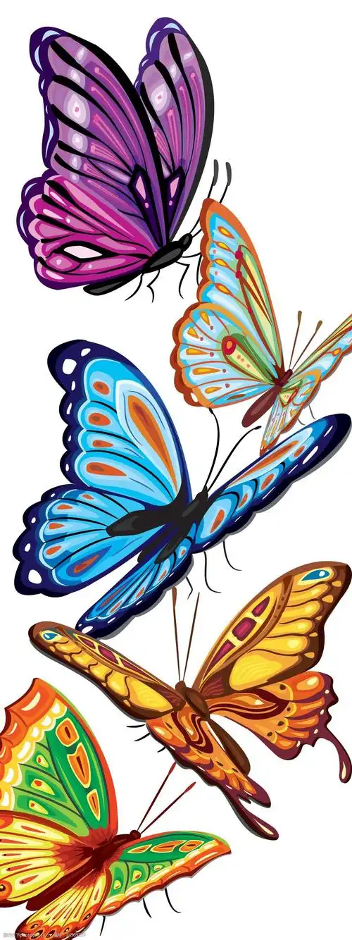 简约炫彩蝴蝶精美模板设计画面素材海报图片-图行天下图库