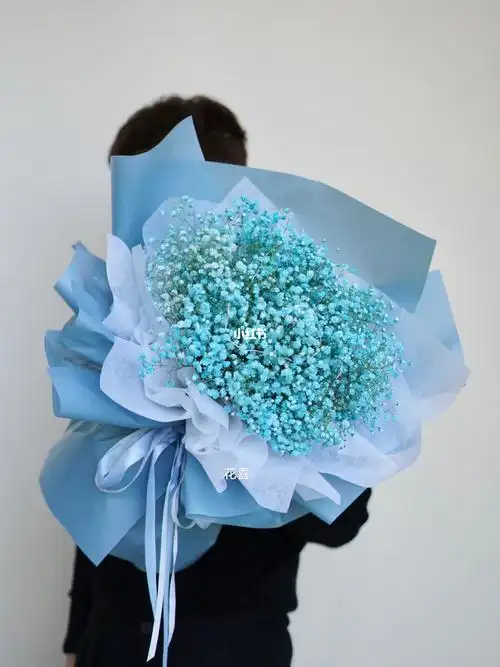 蓝色满天星花束男生花束