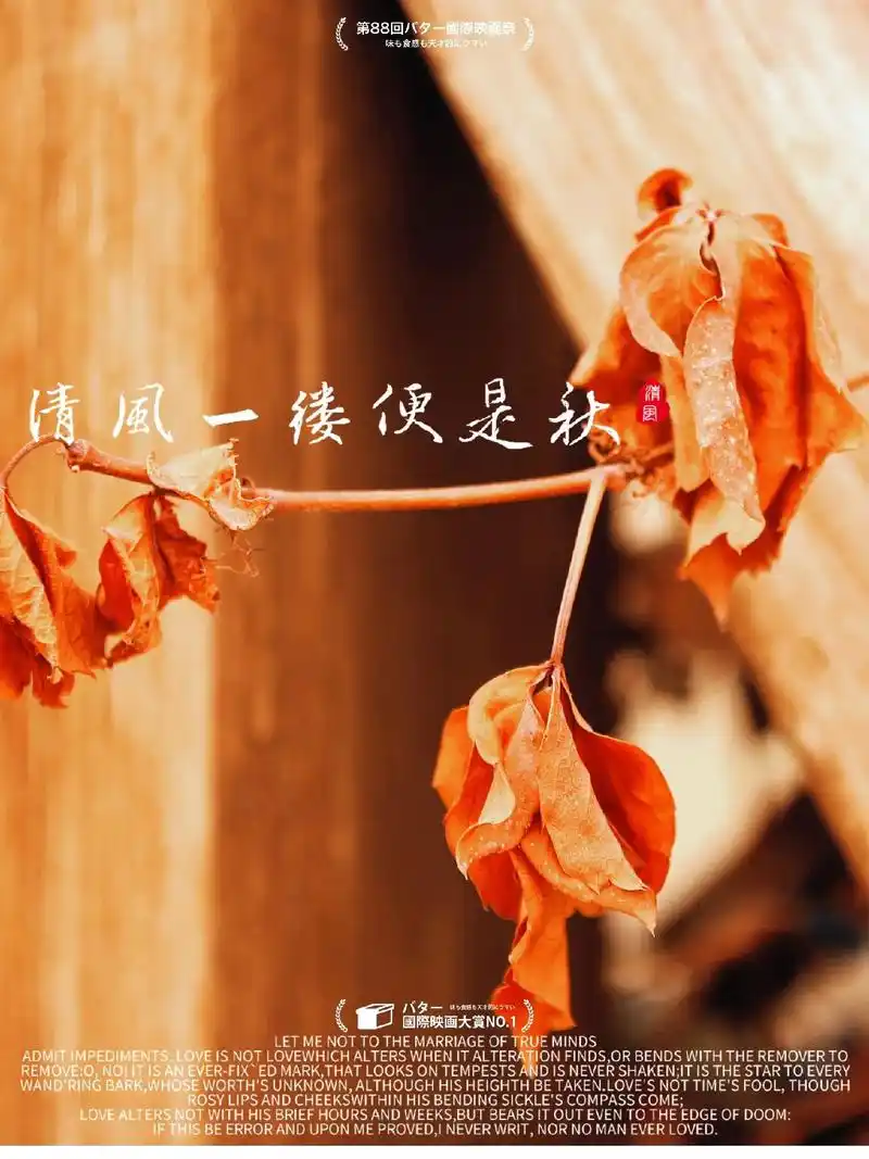 清风一缕便是秋!#我的摄影日记 #原创摄影 #拍出电影感 # - 抖音