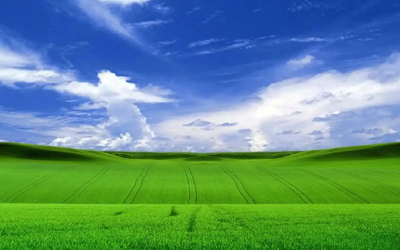 高清护眼绿色草原图片桌面壁纸