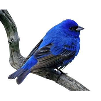 ps图片图片免费下载_ps图片素材_第3页_万素网