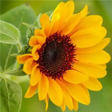 微信头像适合用什么适合男人的汽车微信头像