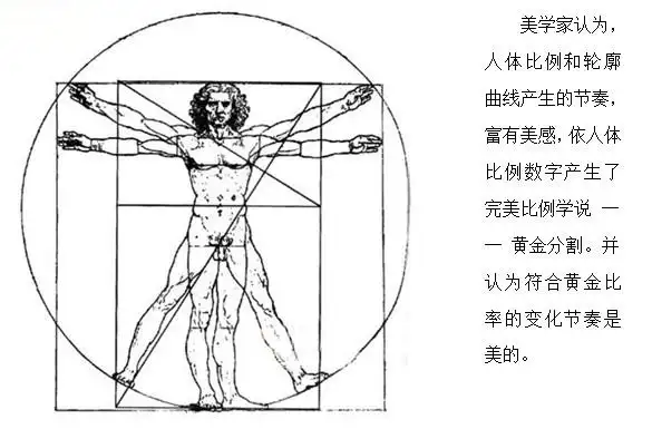 图363 人体的比例② 变化不失去可比成分的交替连续性感觉节奏的构成