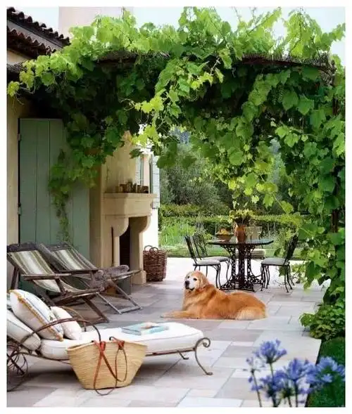 17个"花园小院"设计,久居都市,寻一方庭院和花草为伴,乐哉!