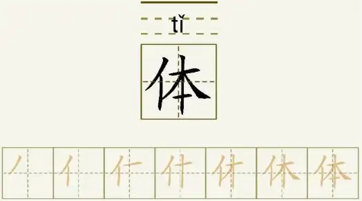 体的笔顺_体的字义_体字演变图