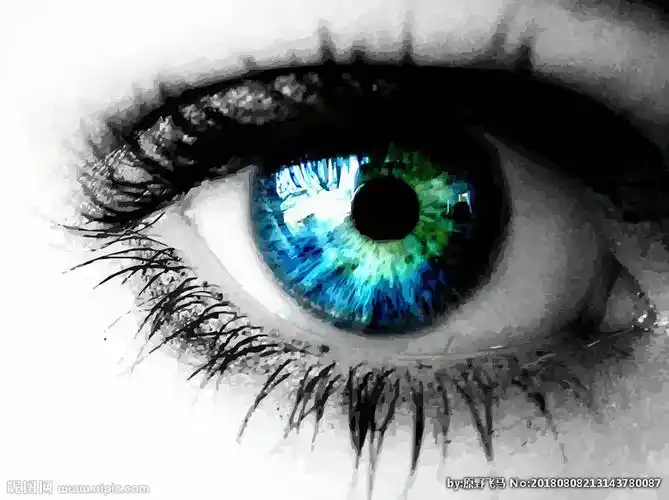 眼睛图片