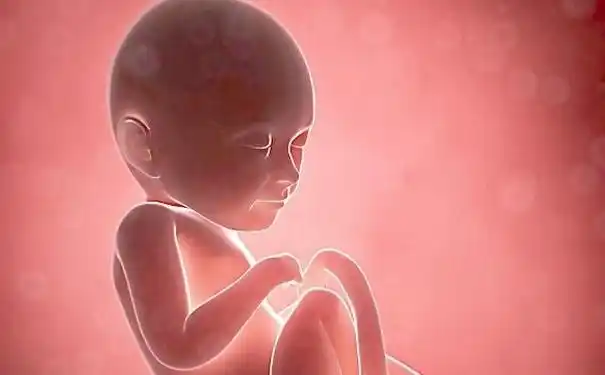 由此可见,在怀孕早期腹中的胎儿过小,使得母亲无法感受到它们的存在.