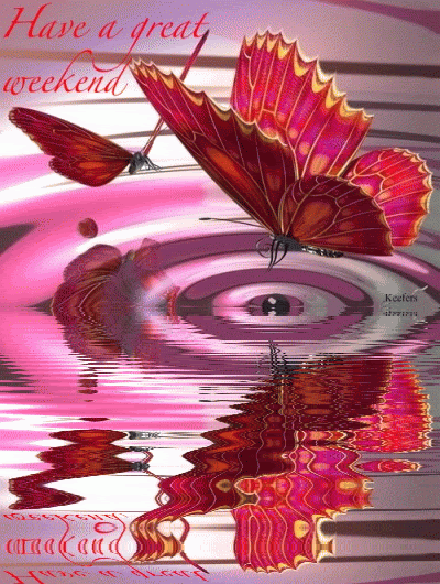 精美蝴蝶gif闪图