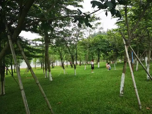 松山湖阳光沙滩