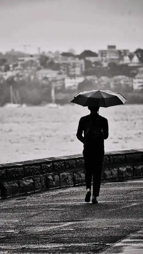文/朱永娇行人从我身边走过我漫步在雨中从行人身边走过闷热从人们的