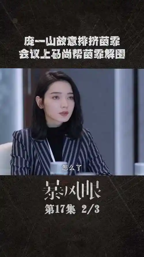 电视剧暴风眼庞一山在会议上排挤苗霏马尚暗中提醒苗霏