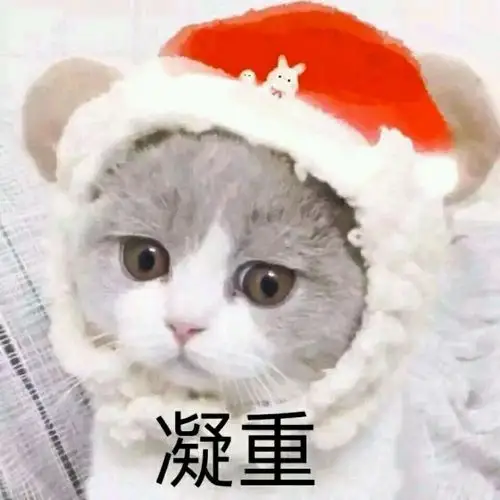 可爱撒娇猫猫头表情包