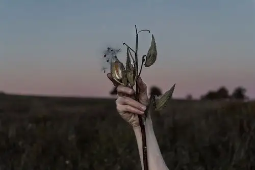 摄影师alexandradewez用黑白照片传达情感震颤人心