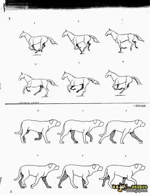 动物的动作分解图,这类的谁还有?都发上来!
