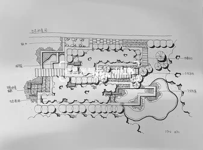 攀爬,滑索……生态科普:观鸟屋,生态浮岛,亲水栈道,生态林,雨水花园