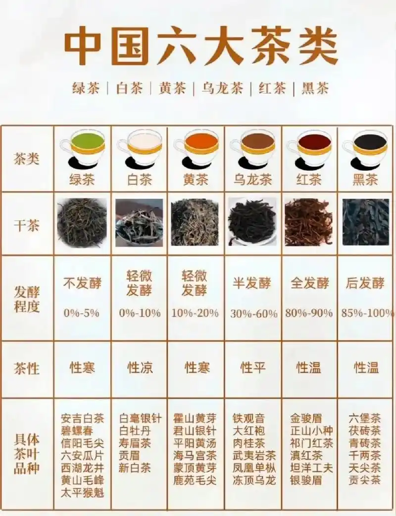 中国六大茶类详解 茶叶的寒凉平温 制茶工艺直接决定 体质不同 选茶