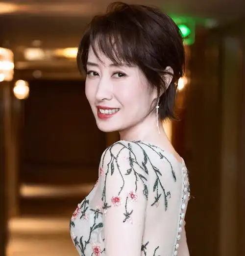 刘敏涛穿着灰色西装,身材很瘦,齐肩短发有女强人的气场.