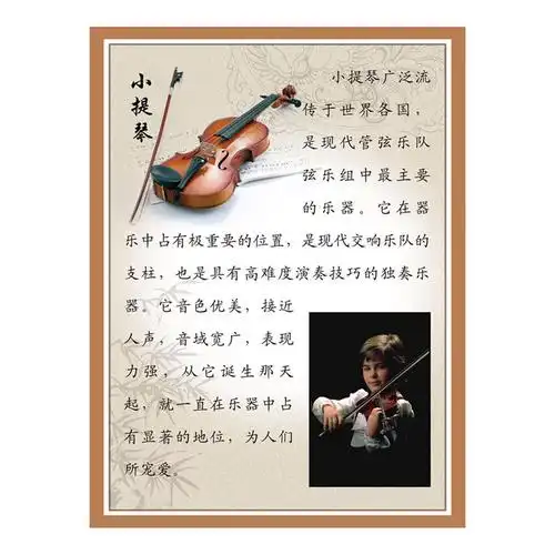 艺术培训乐器学习小提琴简介音乐教学海报定制广告印刷写真