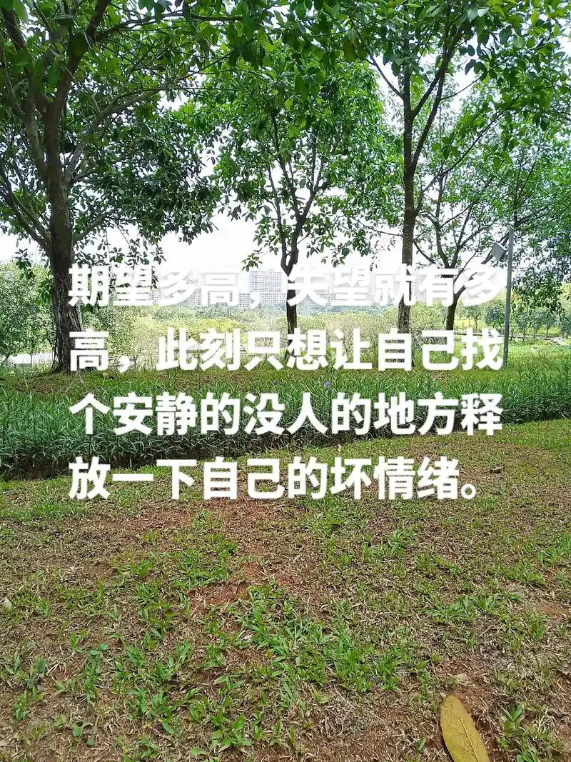 高,此刻只想让自己找 个安静的没人的地方释 放一下自己的坏情 - 抖音