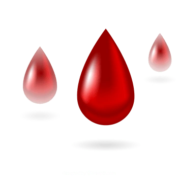 矢量三滴血