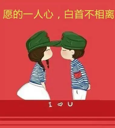 愿得一人心白首不分离