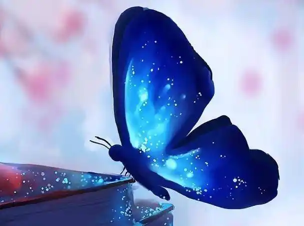 4只星空蝴蝶哪只花纹最梦幻测你天生能吸引什么类型的男生