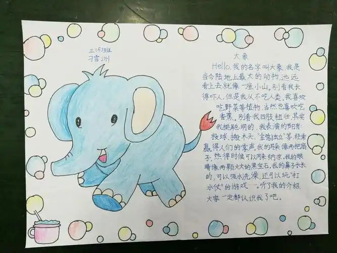 三(5)班优秀动物名片展示