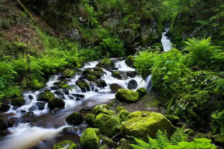 自然,风景,河,水(landscape,river,nature,water)壁纸图片 _ 图片网