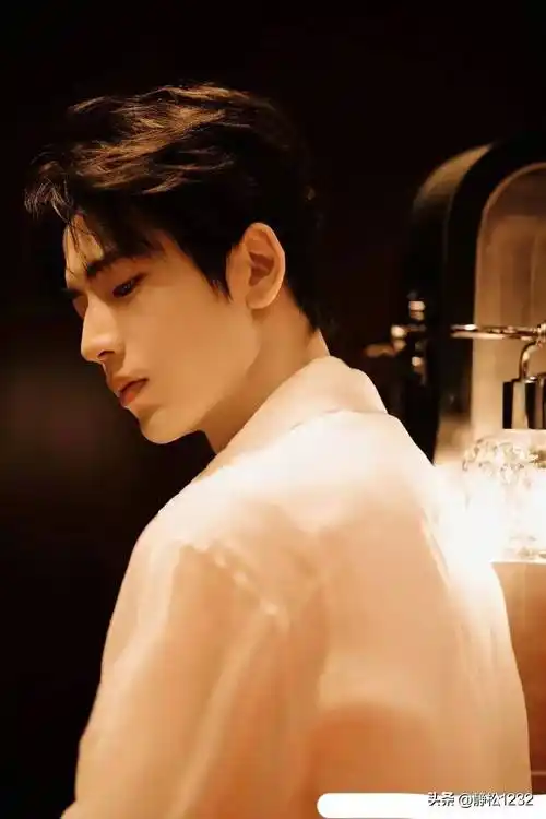 观众最喜爱的男艺人排名,成毅23,邓为16,张凌赫14,王鹤棣第5