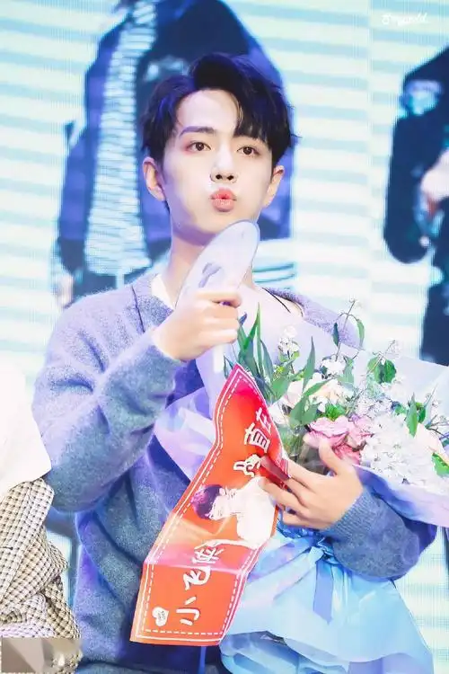 哥哥只是一只没有感情的小河豚 肖战嘟嘟嘴合集分享