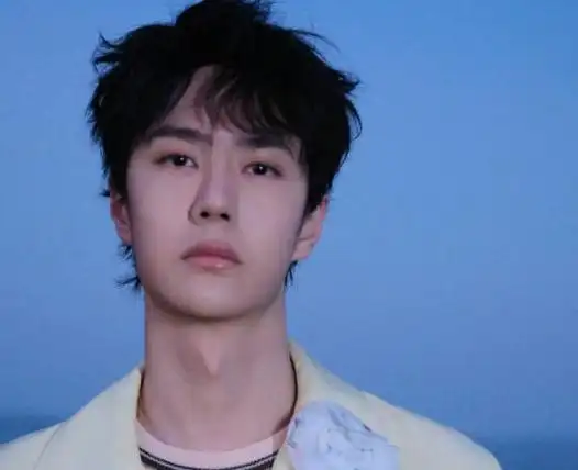 不要再替王一博感到遗憾了,事实上,他已走上男演员的另一条大道|肖战