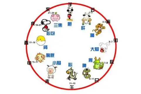 子鼠对应的时辰指的是下午十一点至夜一点,属是比较适合和生肖猴,生肖