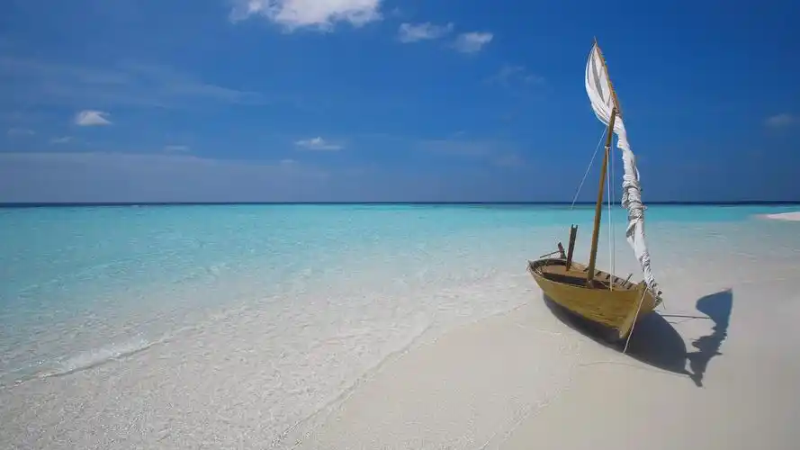 回车桌面 电脑壁纸 摄影 静物写真 > 图片