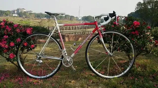 穷屌丝的梅花钢架梦.持续更新中.