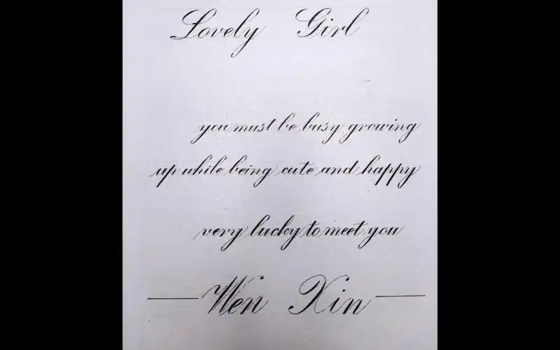 英文书法花体圆体es手写