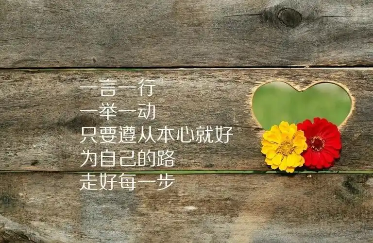 10句人生感悟句句精辟现实太透彻了